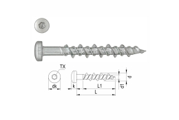 Šroub do sádrokartonu TX20 6,3 x 30 mm - 100 ks v balení 