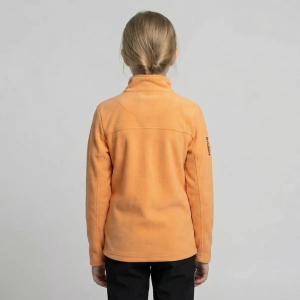 Obrázek (2)