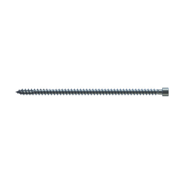 HBS (válcová hlava) celý závit 8 x 240 mm TX 40 - 50 ks/balení, 71313/9 
: obrázek 1